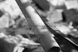 burnt down house 1_006